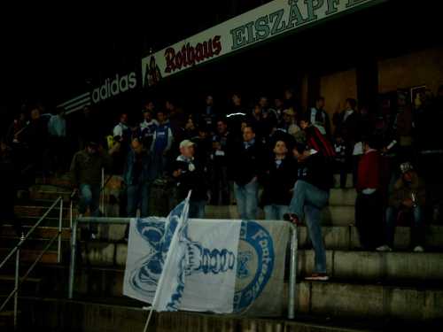 SC Freiburg - VfL Bochum - photo